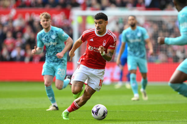 在为纽卡斯 在为纽卡斯