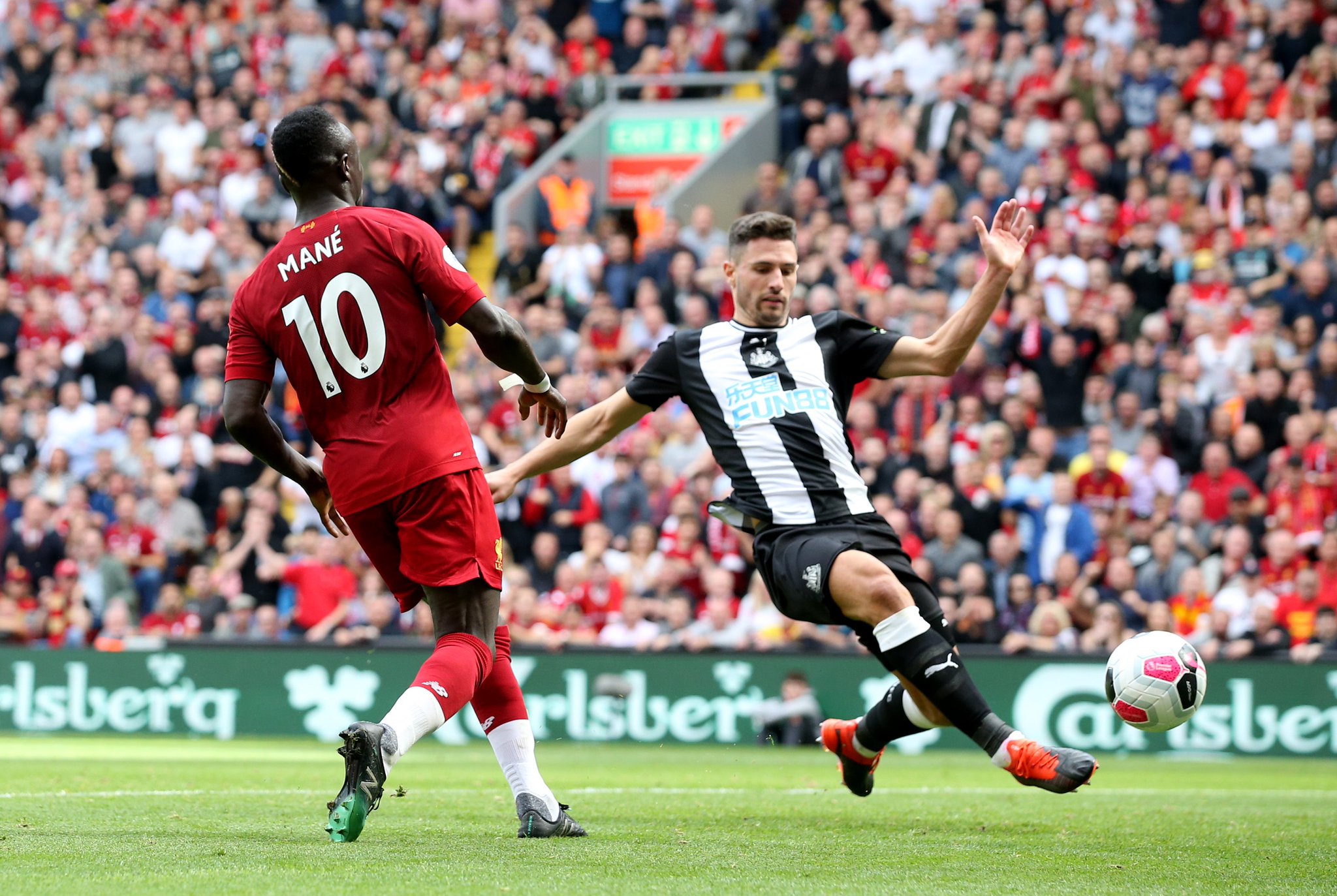 谢什科的棒 谢什科的棒